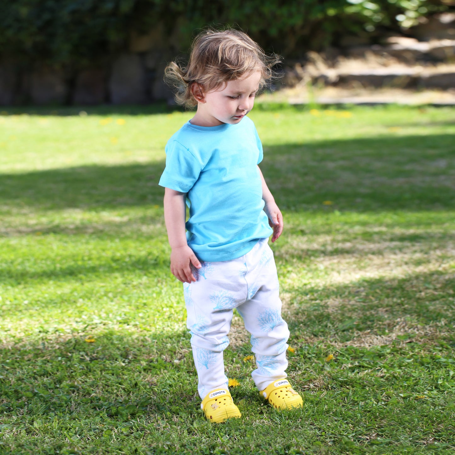 poleras algodon niños